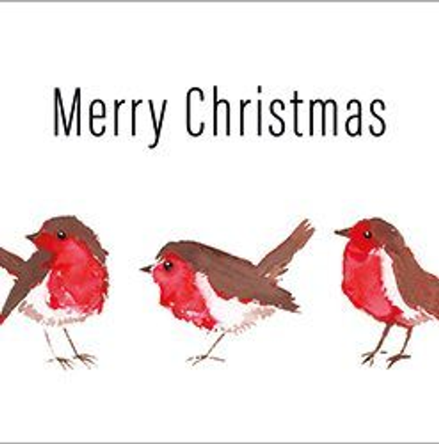 XCB02 Merry Christmas Robins - Pack of 8 Charity Cards