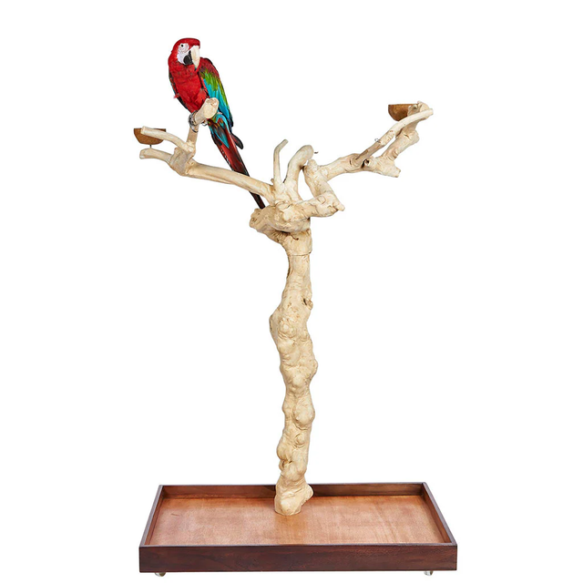 Sky Pet Products Java II Tree Large Parrot Stand