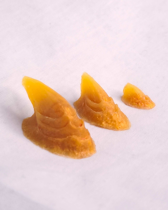 Hörner Wyvern - Cosplay Prosthetics 