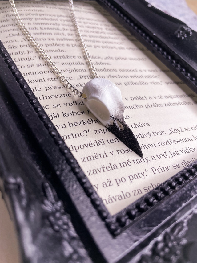 Náhrdelník Ptačí lebka malá řetízek