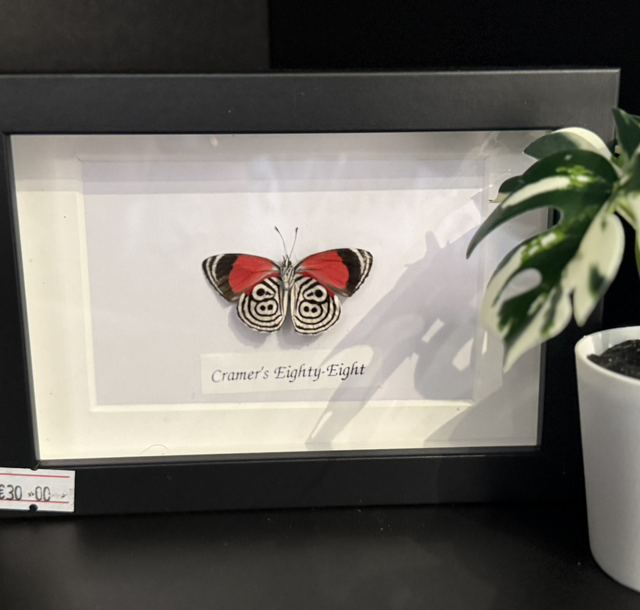 Cramer's Eighty-Eight