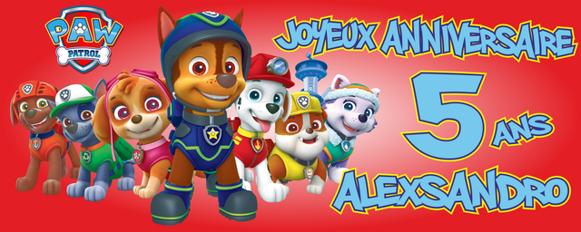 banderole 100cm x 250cm