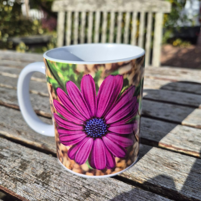 Osteospermum mug