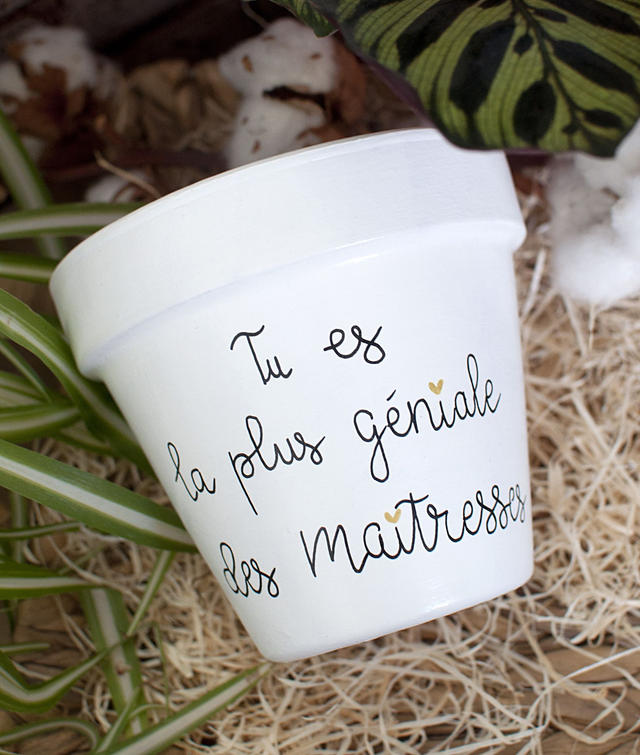 Pot de fleur en terre cuite : Tu es la plus géniale des maîtresses