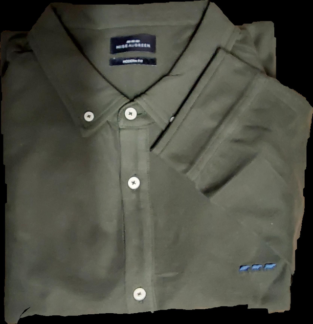 Chemise ml uni MISE AU GREEN 