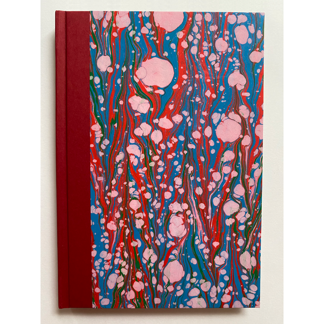 Hardbound Notebook, Red And Blue Feather