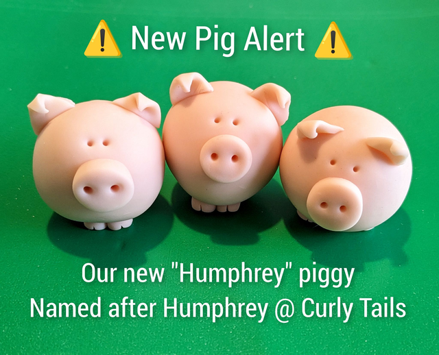 Humphrey pig (profits to Curly Tails Pig Sanctuary)