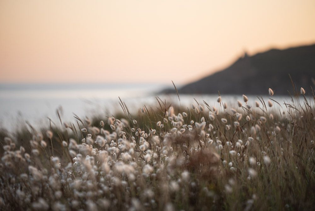 Vue sur l’océan 10