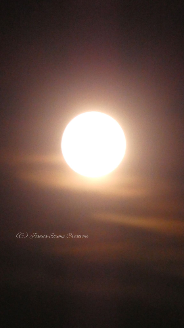 Photographic Open Edition Canvas Panel Print from my "Up High" collection, "Strawberry Moonlight"