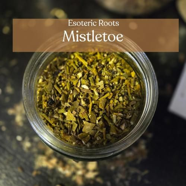 Dried Mistletoe | Protection, Love Magic &amp; Sacred Druid Herb