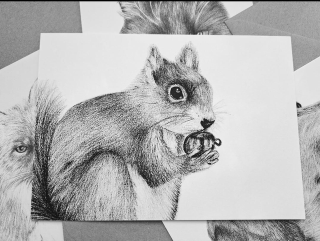 Red Squirrel Greetings Card