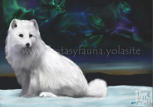 Arctic Spirit Greeting Card