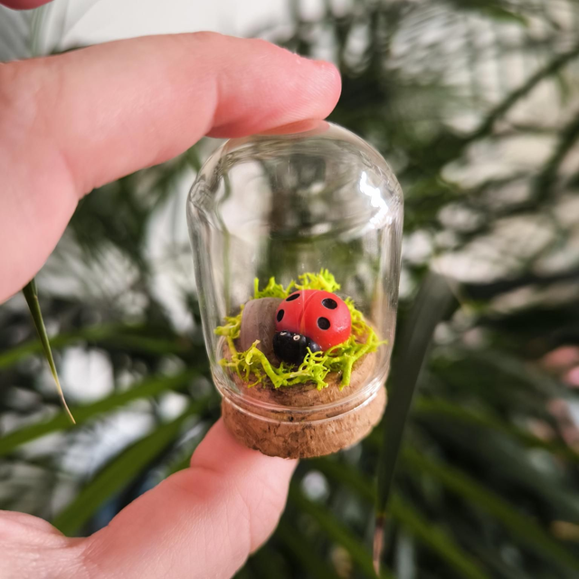 Toup&#039;tit protecteur - Coccinelle 