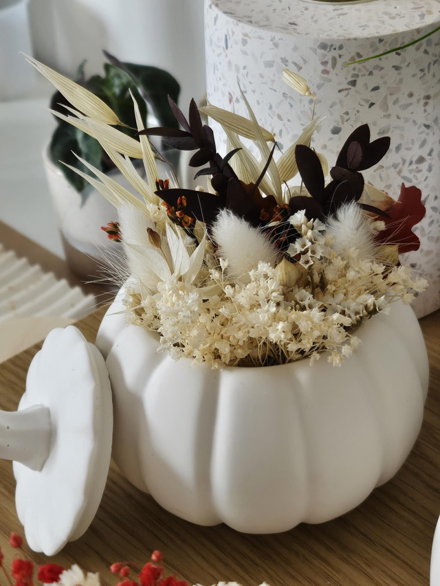 Citrouille fleurie 1