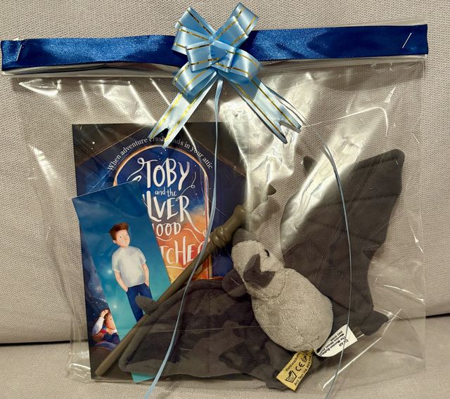 Book and bat gift set