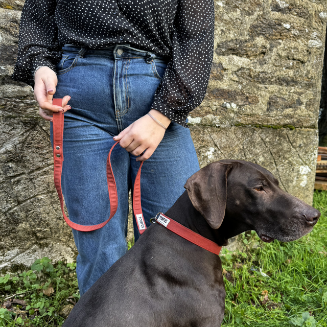 Laisse rouge rouille - Polka 