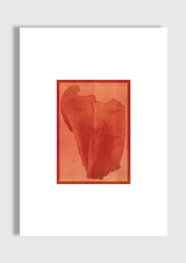 Kinga Kulczyc, The Sham of Vernicle