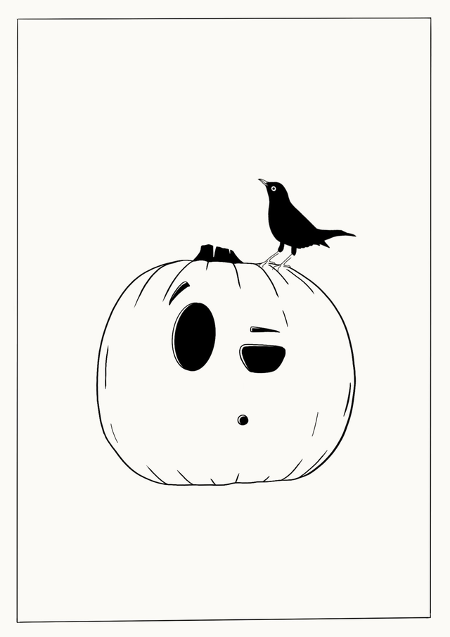 Illustration l Citrouille blanche