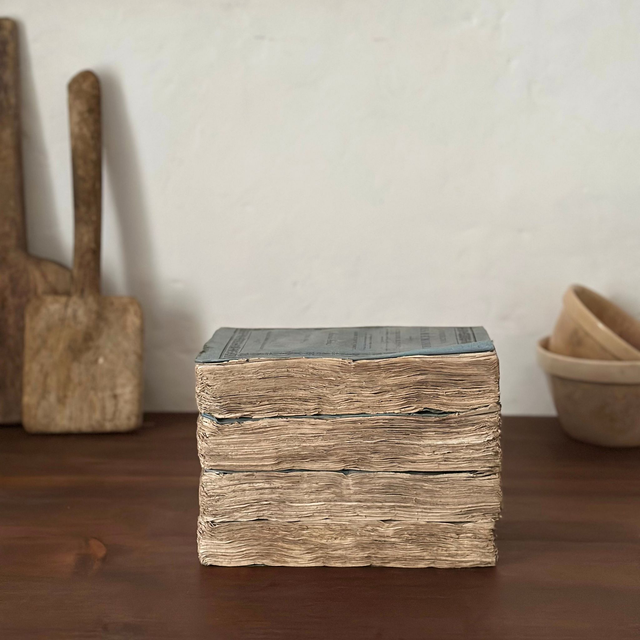 les livres historiques bleus 1800'