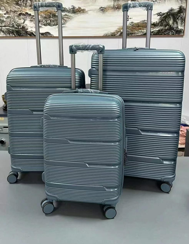 PP Silicone Luggages medium size 