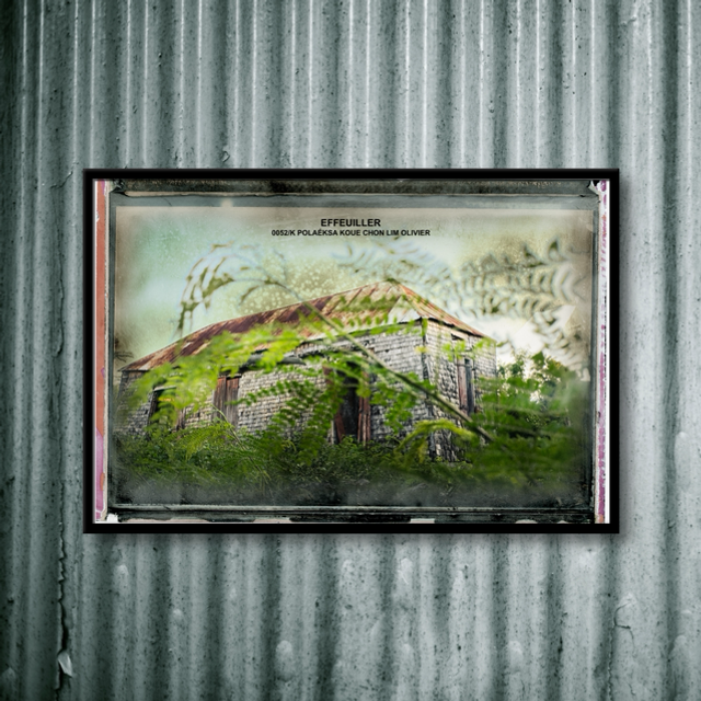 NOUVELLE SÉRIE POLAÉKSA 0052 EFFEUILLER 