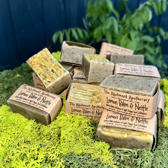 Lemon Balm &amp; Nettle Small