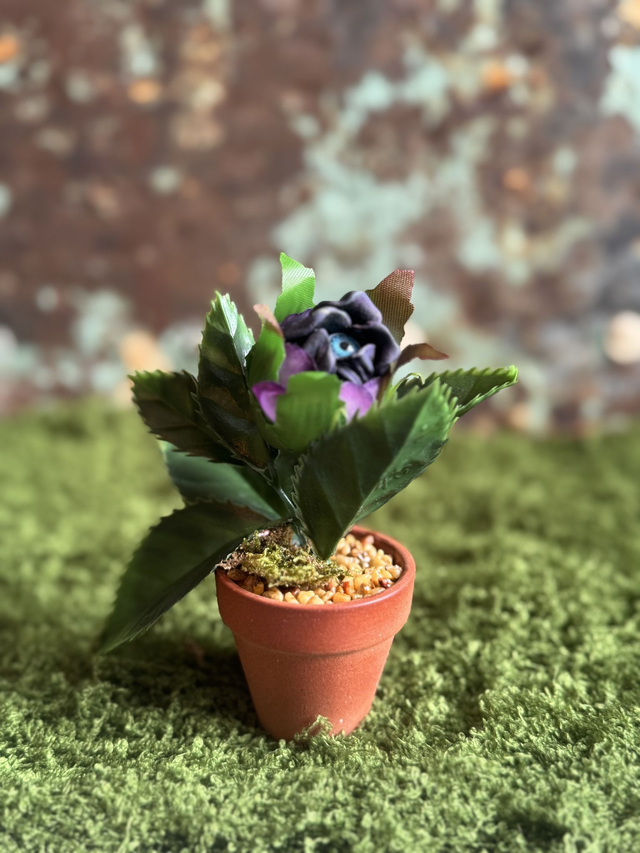 42.👁️ Specimen: The Oracle Bloom