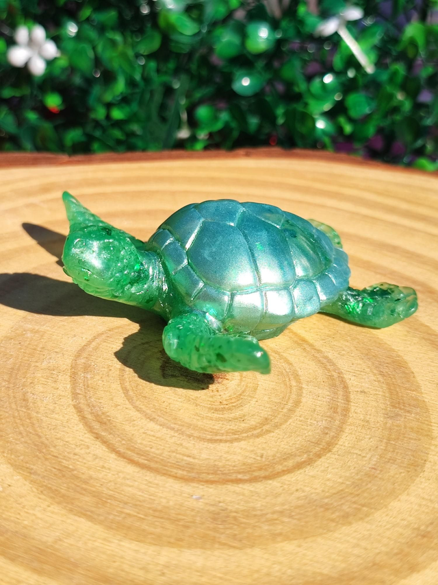 Tortue de mer 