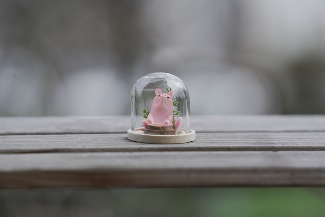 MRŇOUSEK - roztomilé Prasátko