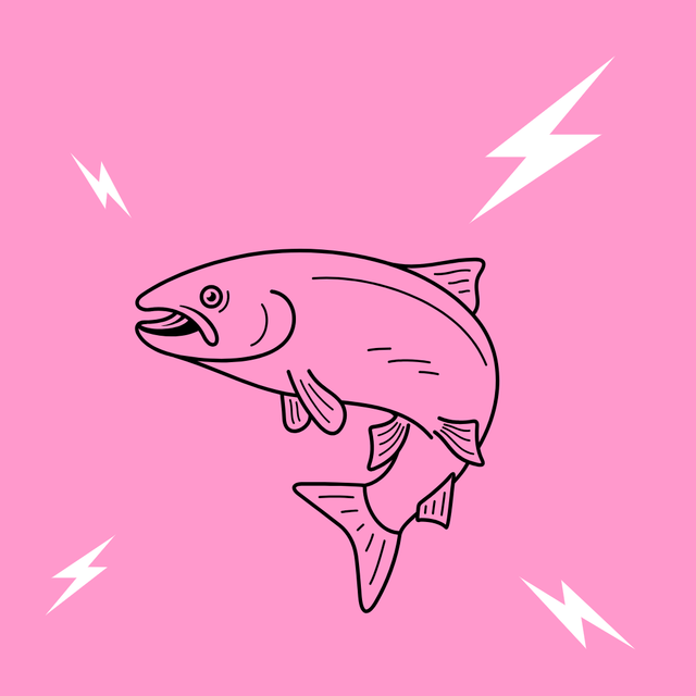 Saumon Gravelax 160gr (2pers)