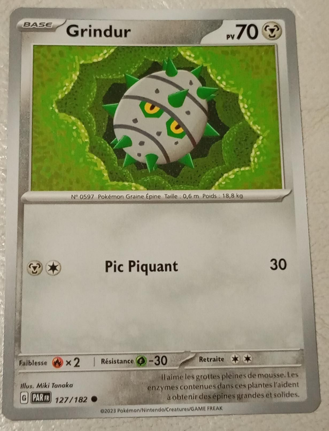 Carte pokémon Grindur