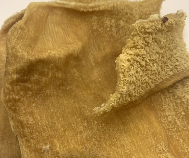 Plaque de panse de bœuf