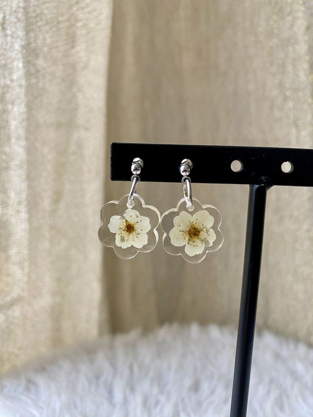 BO fleurs simples mini (clous) - spirée