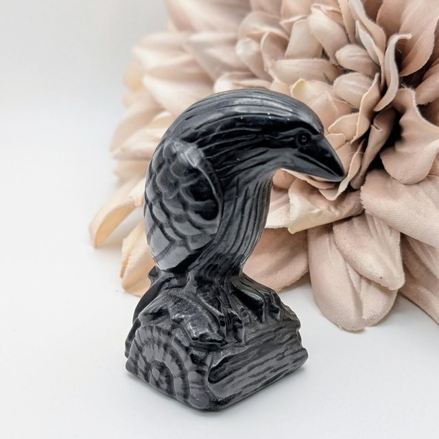Obsidian Raven
