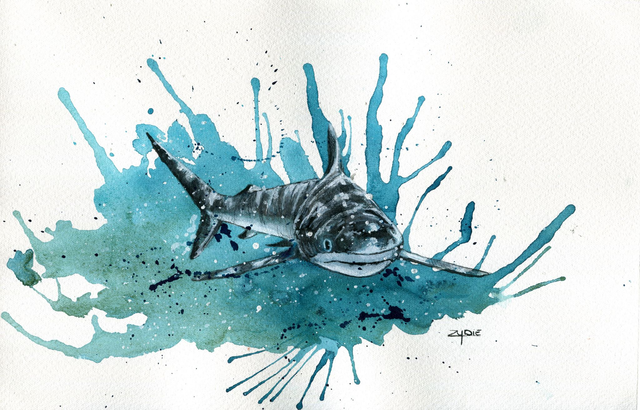 Original / Riffhai - Spendenbild