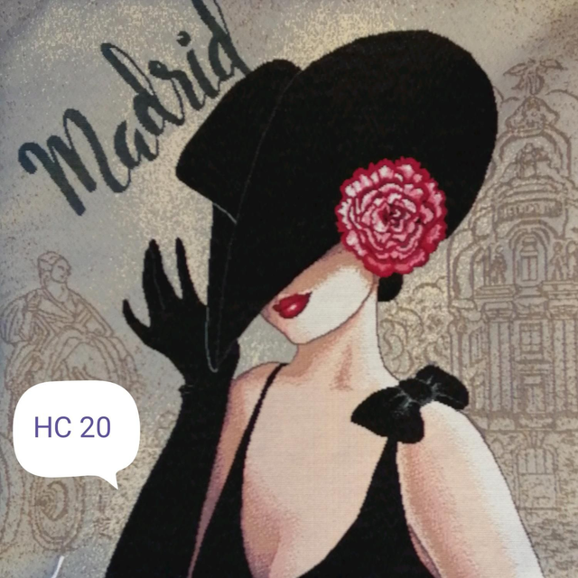 Housse coussin HC 20