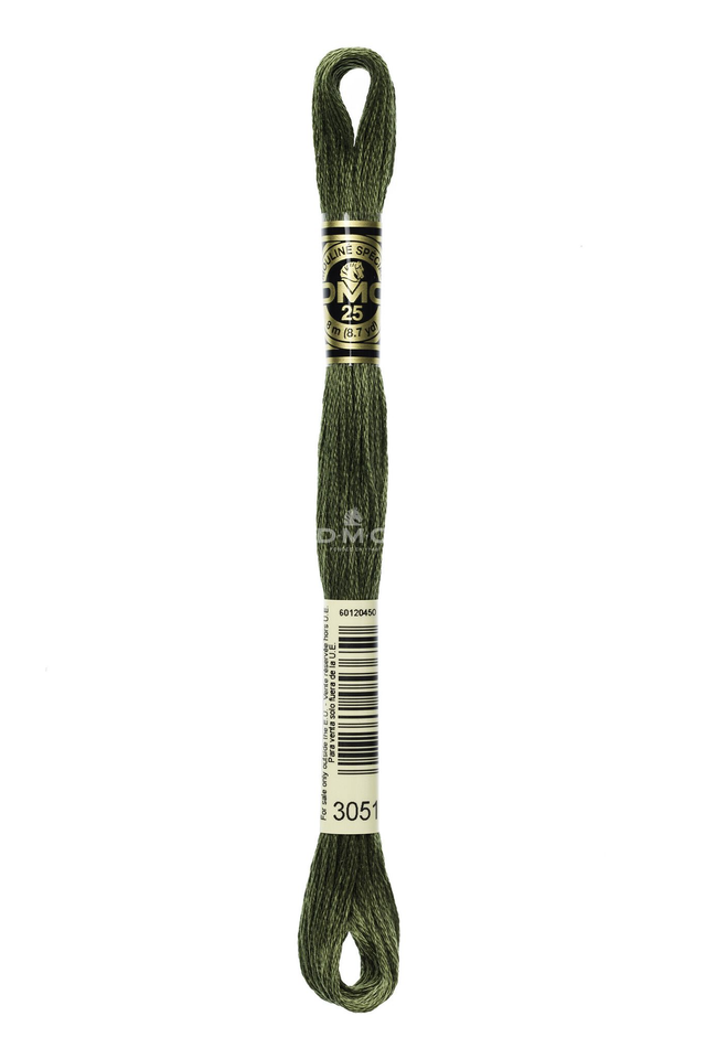 N°3051 Mouliné Spécial DMC