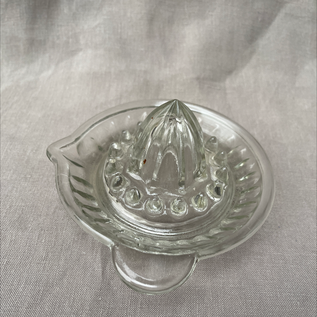 Zitrus Presse Glas Saftpresse