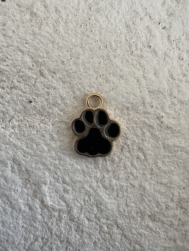 Charm Pate de chien