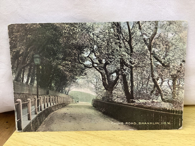 Chine Road, Shanklin, Isle of Wight. The National Series vintage postcard. Our Ref No. R603 £2.25