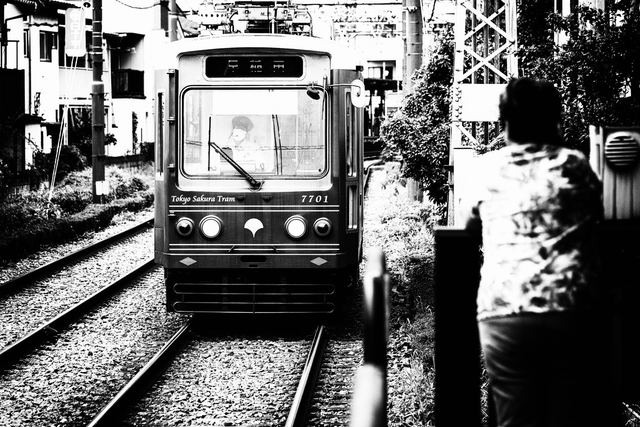 Ryokō-sha (Le voyageur)