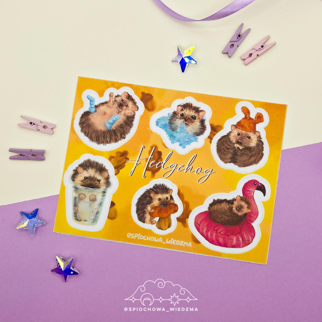 Hedgehog | ZWIERZĘTA