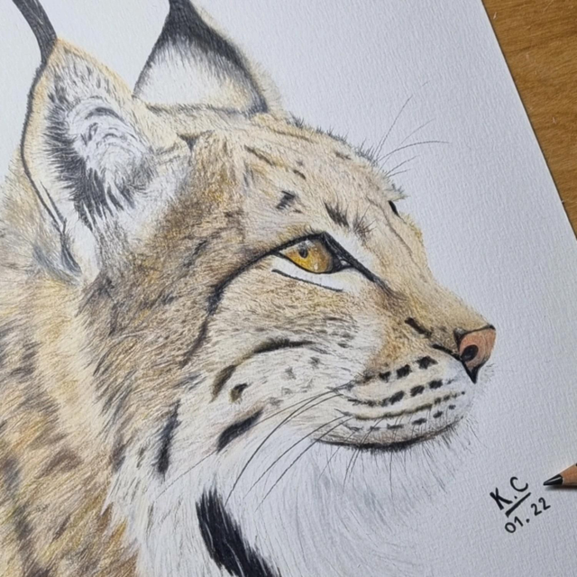 Tirage d'Art Dessin -A4 - port compris