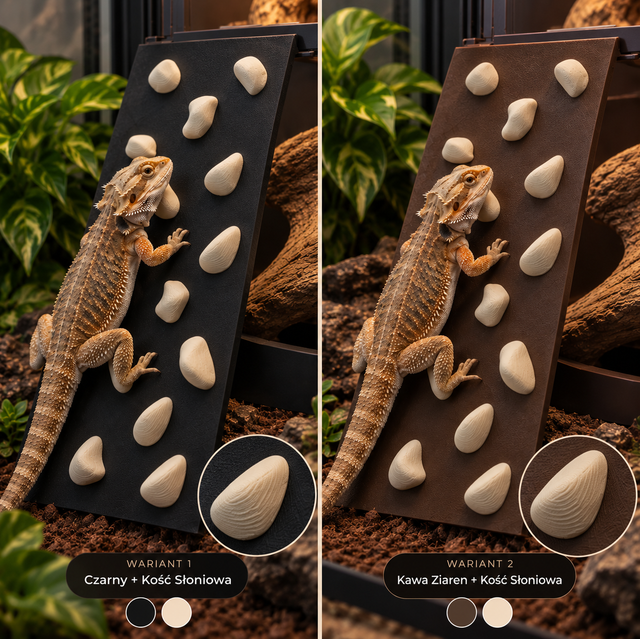 🦎 Ścianka wspinaczkowa dla gadów – Climbing Wall