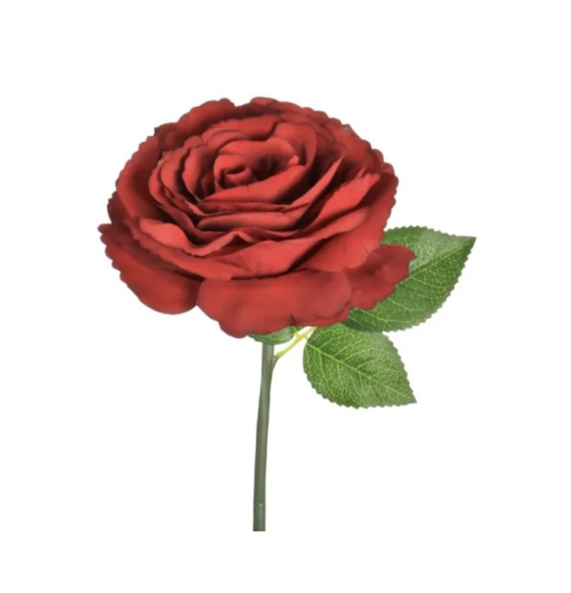 Tudor Short Stem Rose Red 18cm