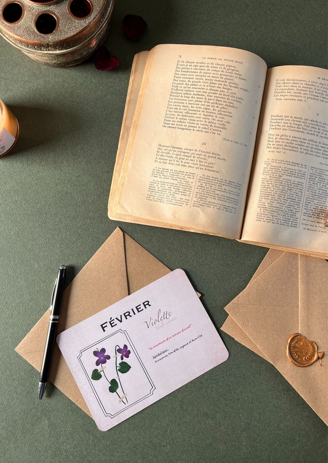 Carte 02. Février, la violette