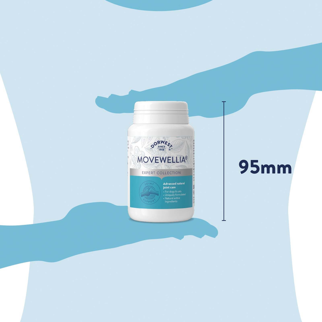 MoveWellia® Tablets