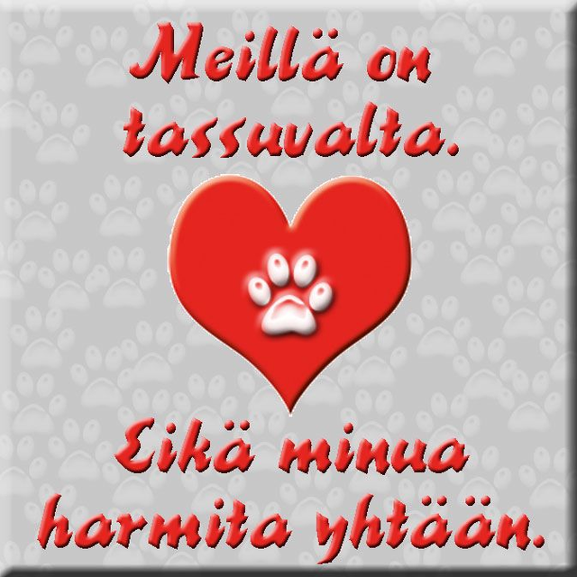 Magneetti "Meillä... yhtään"