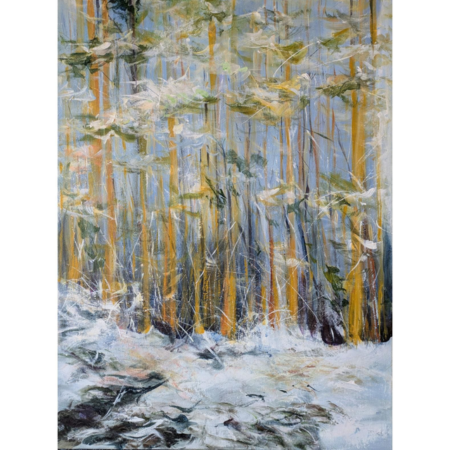 Soft winter light
