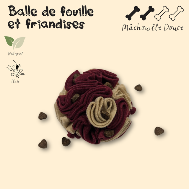 Balle de fouille & Friandises